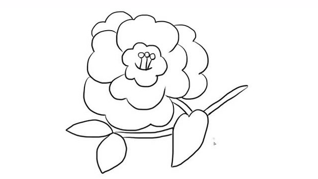 简单漂亮的茶花儿童亲子简笔画