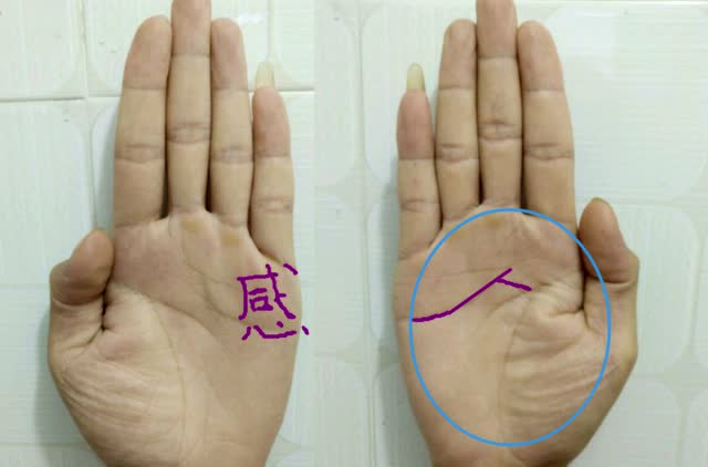 手相感情线分叉至智慧线,感情绝对出问题
