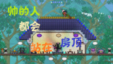 泰拉瑞亚 terraria 汉化版MOD 142 天神的馈赠