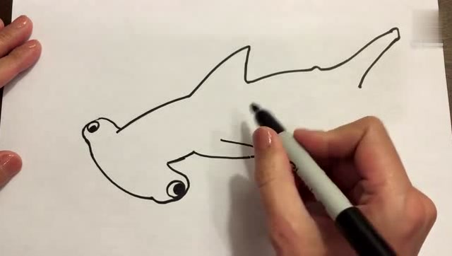 晓晓的锤头鲨的画法图片