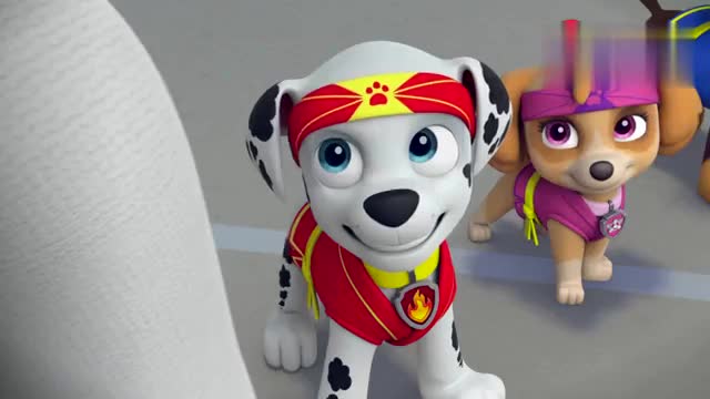 汪汪队的小莉真厉害演奏这么美妙的音乐整个汪汪队都舞动起来了