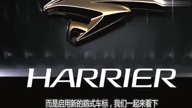 丰田推出新款车型,仅卖16万,比奔驰还要亮