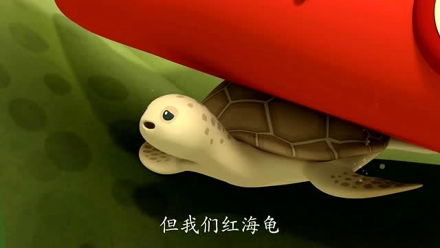 海底小纵队;红海龟的头和噗缩不进壳里