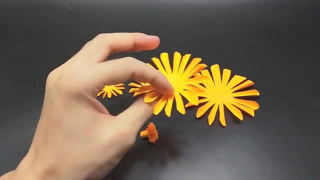 波斯菊折纸图片图片