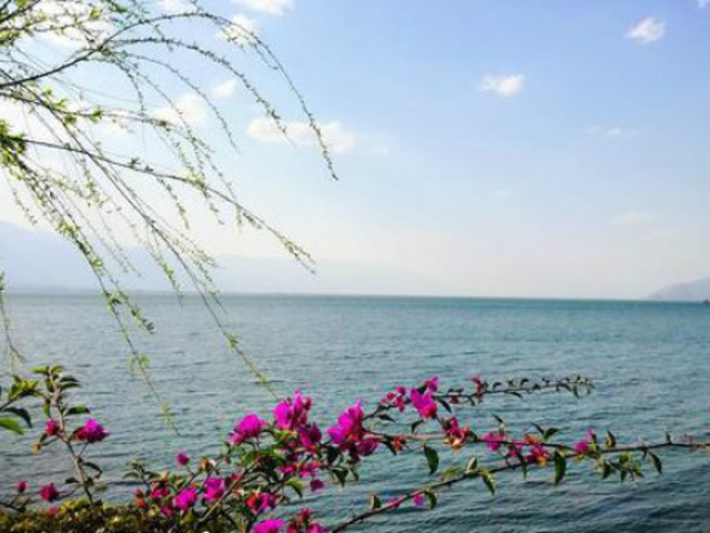 陈丽君评书:《龙图公案》全本4