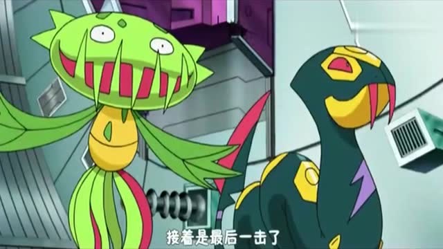 神奇宝贝:树林龟进化成土台龟,火箭队直呼不公平