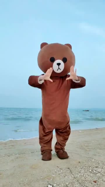 网红熊在海边跳舞,这个情境跟这首歌还真搭!