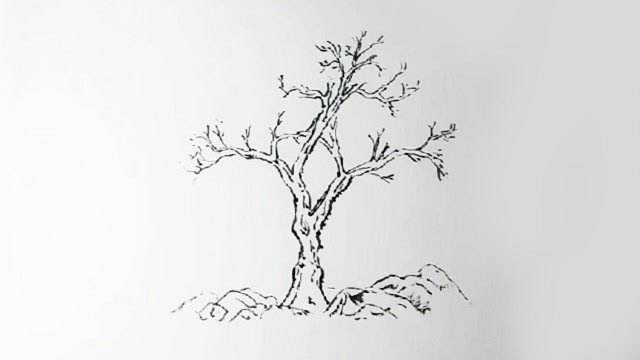 白描学习,树的画法,简单易学