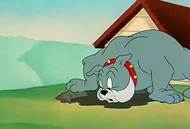 猫和老鼠,大力士害怕汤姆还来偷骨头,直接把他埋起来了