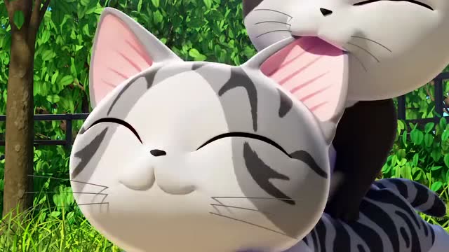 小怪猫好厉害一下子就掌握了要领,真的太棒了