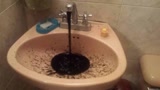 委内瑞拉水管流出黑水，带刺鼻气味，疑被石油污染