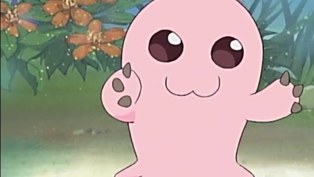 年糕兽身体柔软,看起来非常可爱