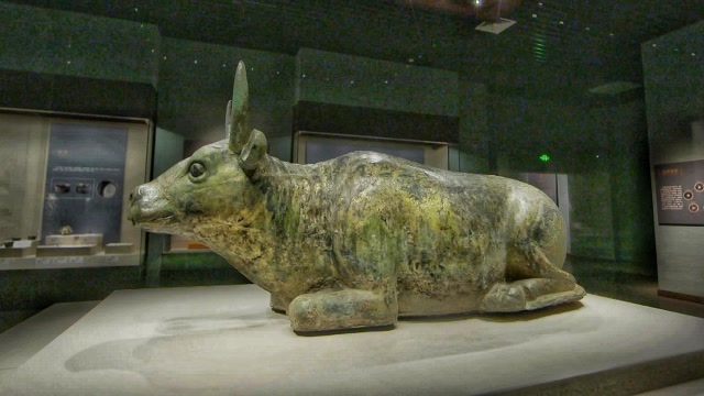 国宝里的宁夏故事丨"西夏第一牛"