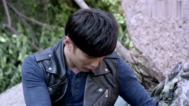 麻辣变形计:白鲨嘴太硬!白来的东西都不吃!简直傲娇第一名!