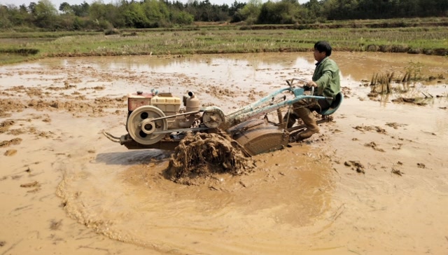 农村大伯开拖拉机耕田,田里到处都是泥潭,好害怕一不小心陷进去