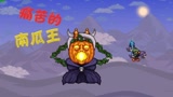 天铭 泰拉瑞亚 女巫与真实MOD 58 狂欢中的BOSS 南瓜王