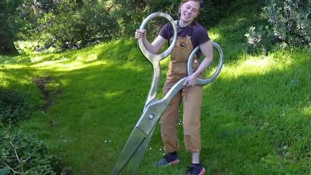 国外女子打造世界最大剪刀,重达70斤,网友:剪什么的?