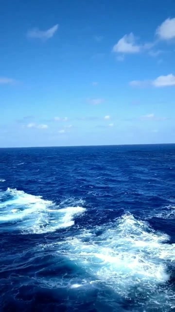 深蓝海洋,了解下