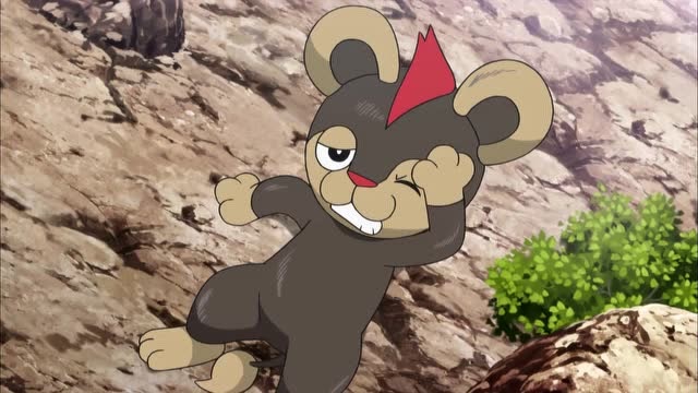 《精灵宝可梦》火炎狮偷偷跟着小狮狮,希望它能学会独当一面?