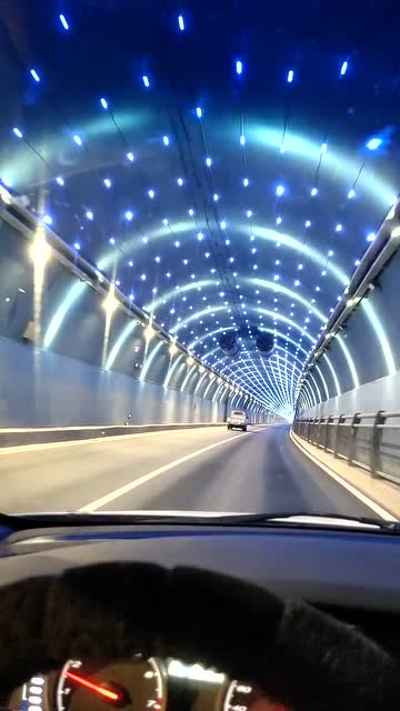 金寨的网红隧道