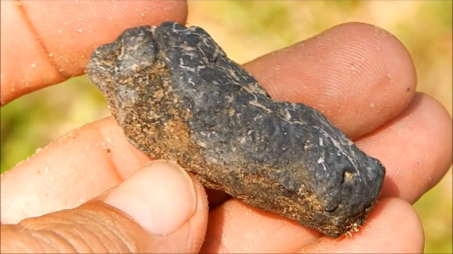 老外花一千元买"恐龙"大便,切开里面有惊喜?有钱人喜欢重口味