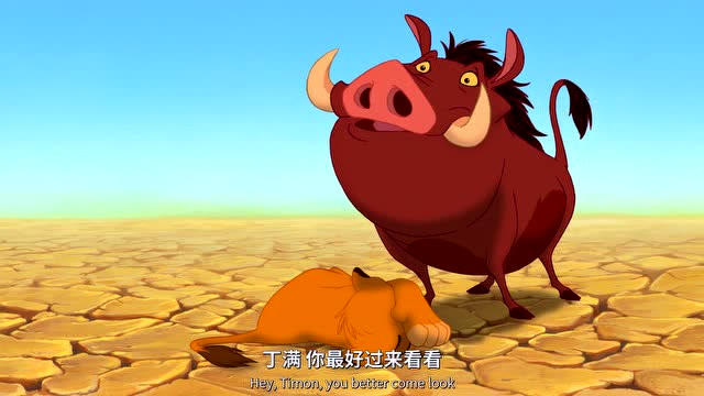 狮子王辛巴被一头野猪救了下来真是世事无常