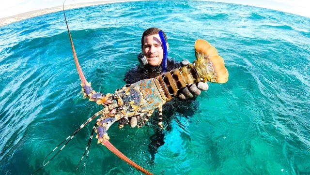 小哥哥海里捉巨型龙虾和螃蟹,岸边就地取柴烧着吃,太过瘾了