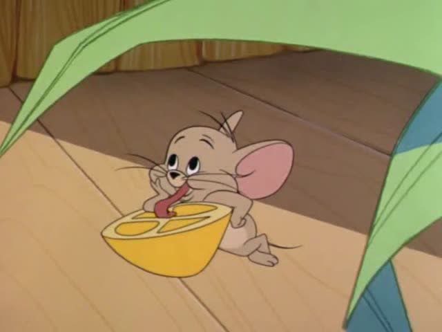 猫和老鼠:汤姆演唱歌剧,杰瑞捣乱,用橙子诱惑他酸出眼泪