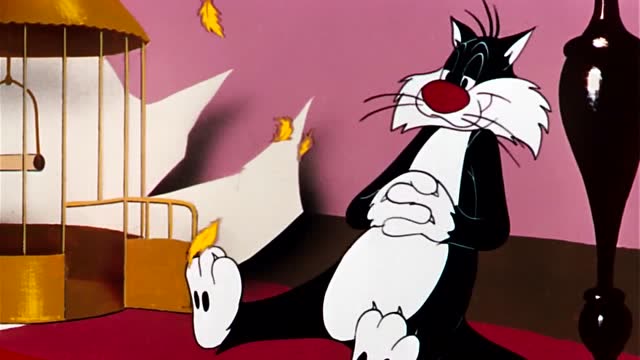 兔八哥:猫咪把小鸟吃掉,被主人发现了