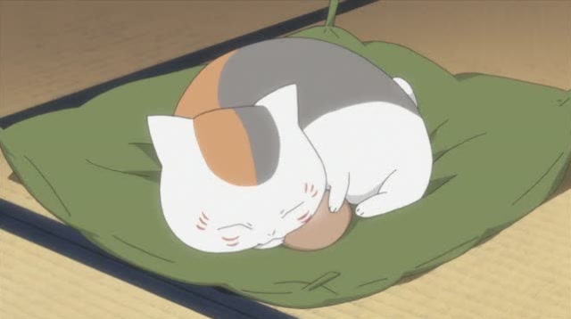 夏目友人帐:肥猫每天抱着鸟蛋睡觉,样子呆萌