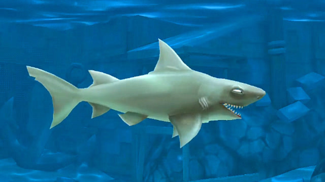 饥饿鲨进化礁鲨图片图片