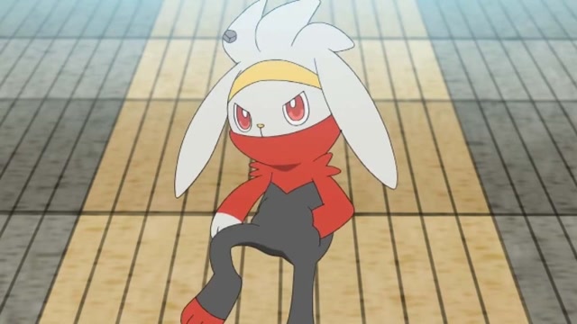 第一次进化!火系宝可梦:腾蹴小将