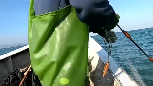 赶海雄哥在外海搞回一批海货,急忙拿去市场卖,客户不惜写欠条都要买