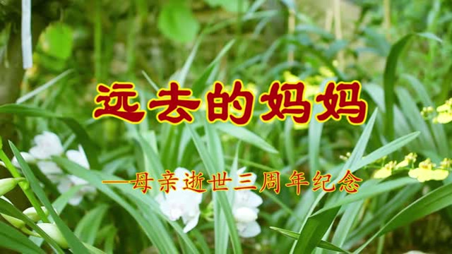 远去的妈妈 — 母亲逝世三周年纪念