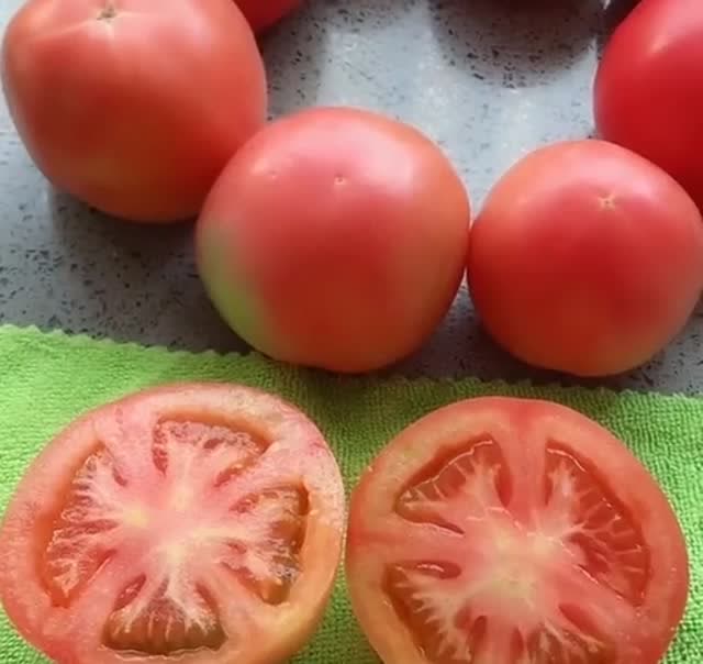 看起来很好的西红柿,切开一看,这就是转基因的西红柿