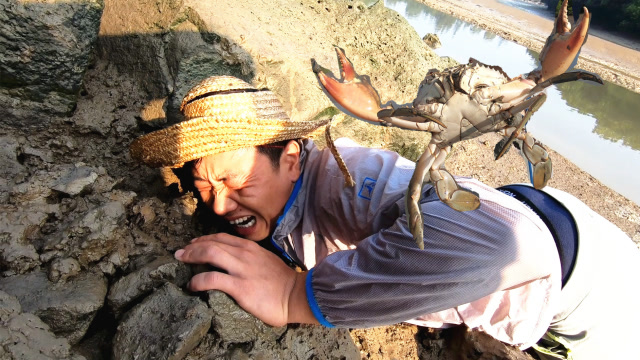 这么大的螃蟹夹人有多疼?看看阿锋的表情就知道了