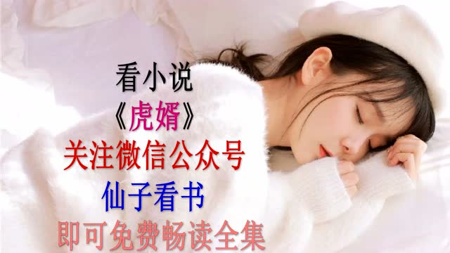 虎婿杨潇小说免费