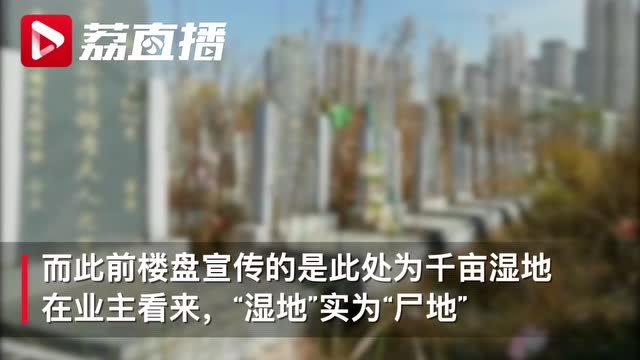 这也吓人啦!当初业主在楼盘营销中心看房的时候,这块墓地也被围挡和土堆给挡住了,根本就看不到。