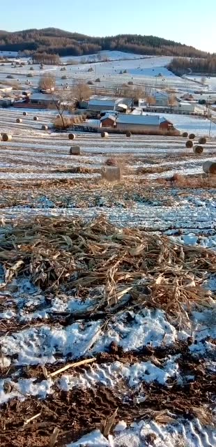男子坡地上打草垛,结果草垛失控顺坡滚下太危险!
