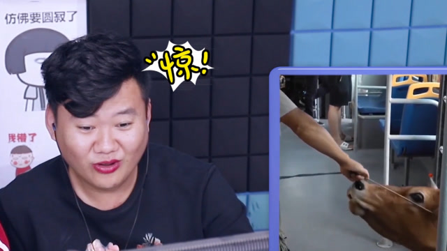 憋笑挑战赛:公交车可以带宠物上车,带牛就过分了!