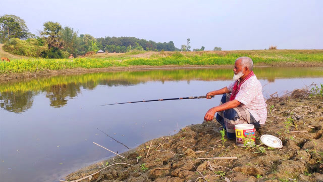 70岁大爷野外钓鱼,提竿就有收获,这样钓鱼才过瘾!