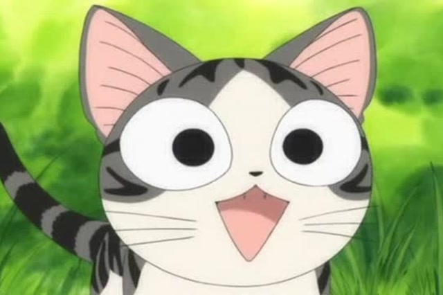 甜甜私房猫 管理员去追大黑了,小奇就得救了