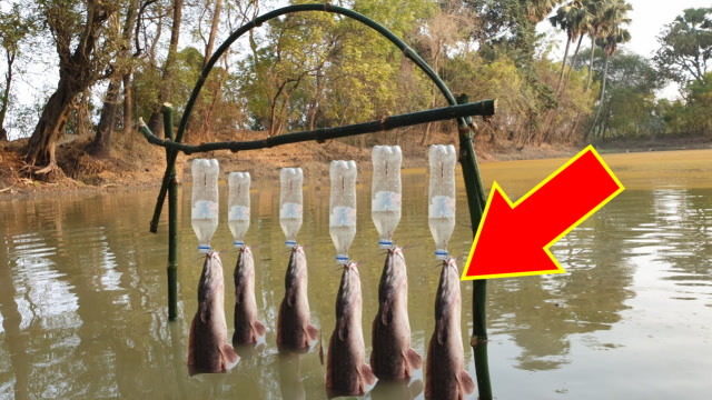 小哥用几个塑料瓶捕鱼,捞上来一看,这也太夸张了吧!