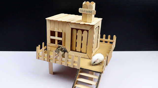 手工为仓鼠宝宝建造一座房子?还带双开门!它住进去就不愿出来!