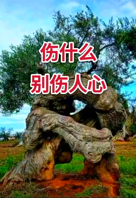 人怕伤心,树怕伤根