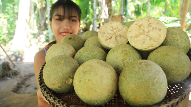 东南亚野生木苹果,随便摘不要钱,一次上十个吃到撑!