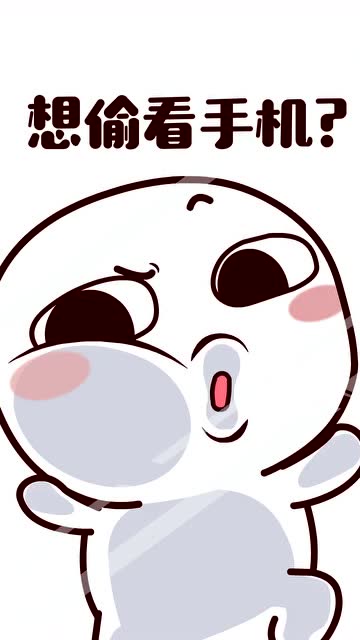 想看我手机?想都别想!