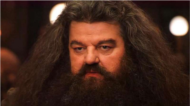 海格带哈利波特来到古灵阁,拿出钥匙,开启金库门的那一刻哈利波特惊呆