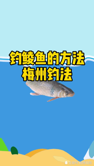 钓鲮鱼的方法,梅州钓法