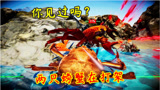 螃蟹大战：两只螃蟹在打架，这才是真正的蟹斗！